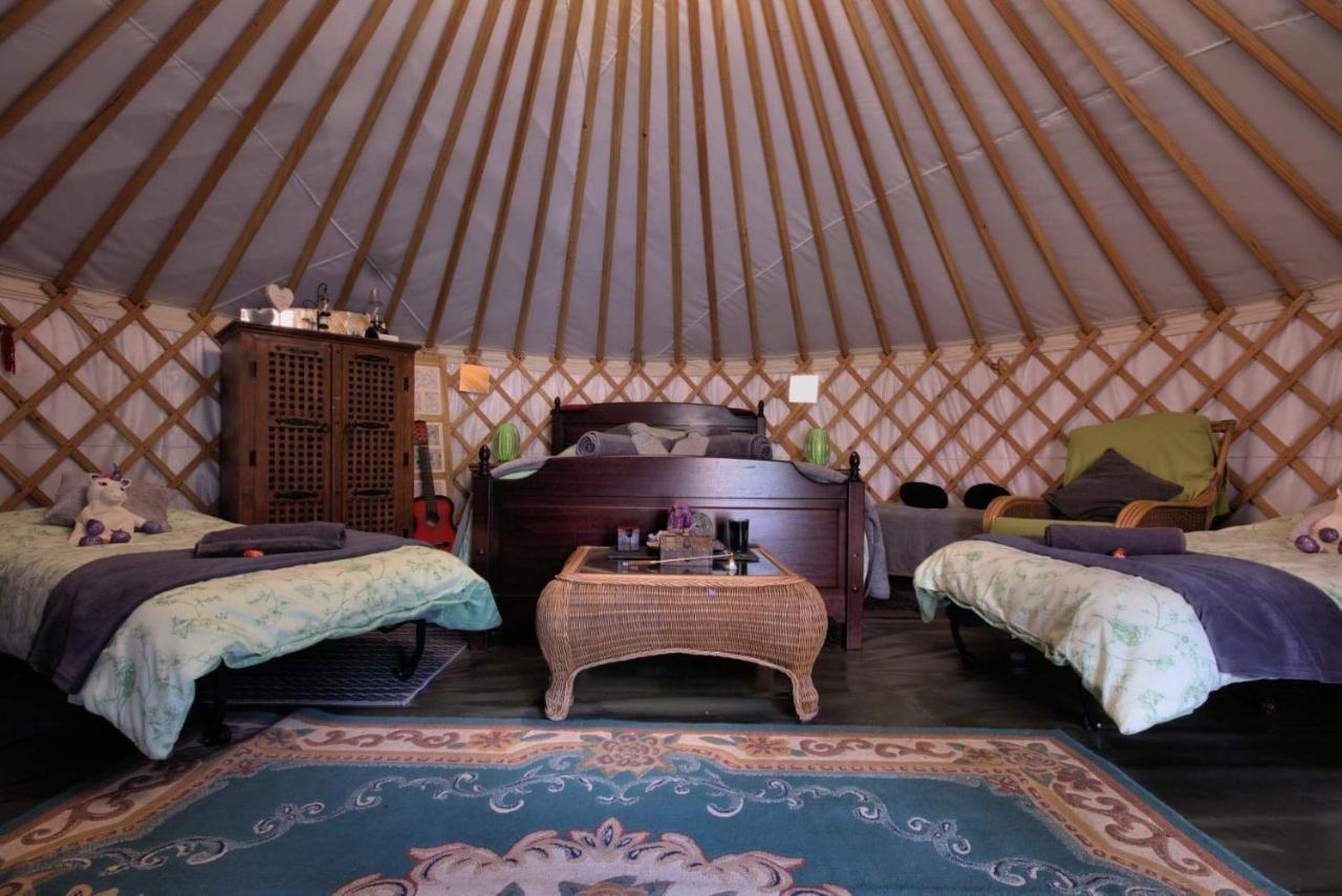 Magical Forest Yurt Sturry ภายนอก รูปภาพ
