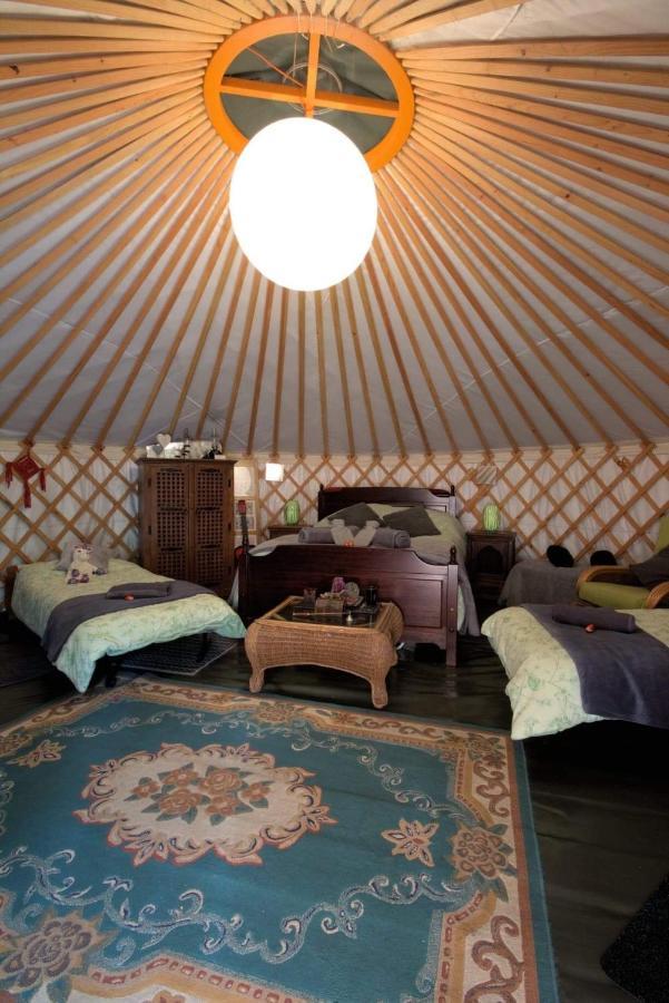 Magical Forest Yurt Sturry ภายนอก รูปภาพ