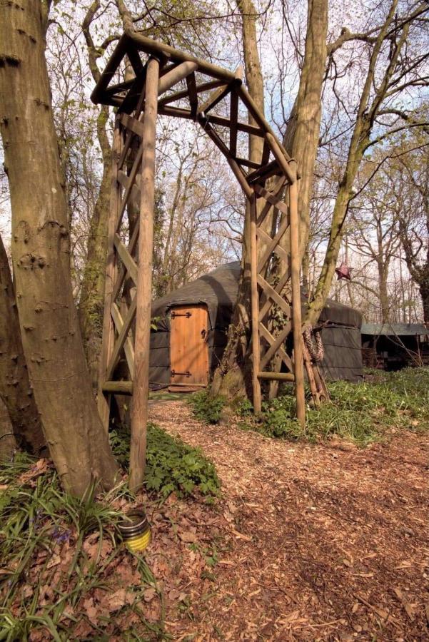Magical Forest Yurt Sturry ภายนอก รูปภาพ