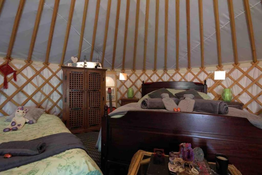 Magical Forest Yurt Sturry ภายนอก รูปภาพ
