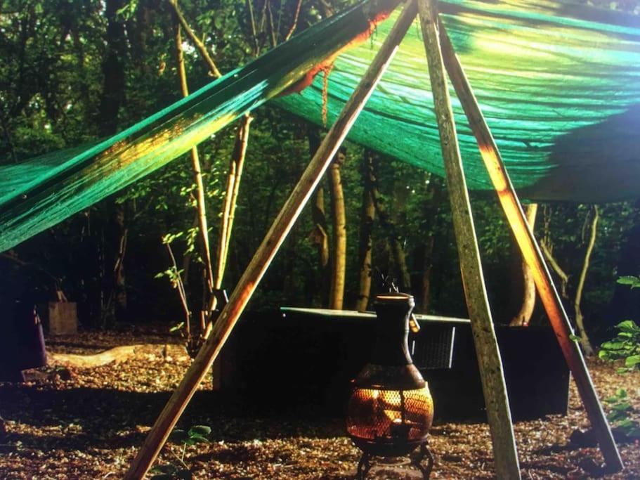 Magical Forest Yurt Sturry ภายนอก รูปภาพ