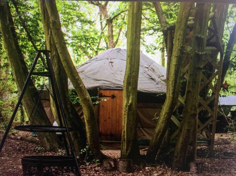 Magical Forest Yurt Sturry ภายนอก รูปภาพ