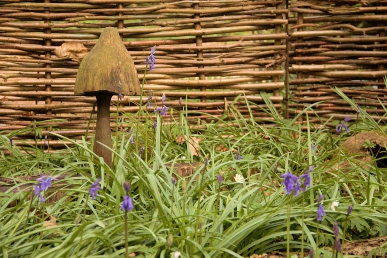 Magical Forest Yurt Sturry ภายนอก รูปภาพ