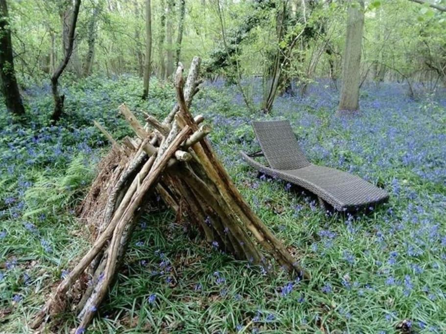 Magical Forest Yurt Sturry ภายนอก รูปภาพ