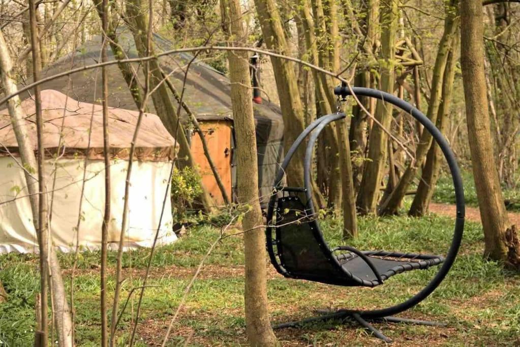 Magical Forest Yurt Sturry ภายนอก รูปภาพ