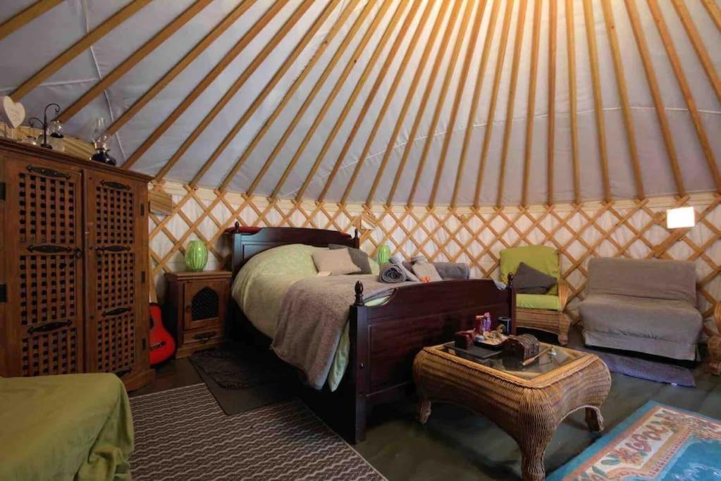 Magical Forest Yurt Sturry ภายนอก รูปภาพ