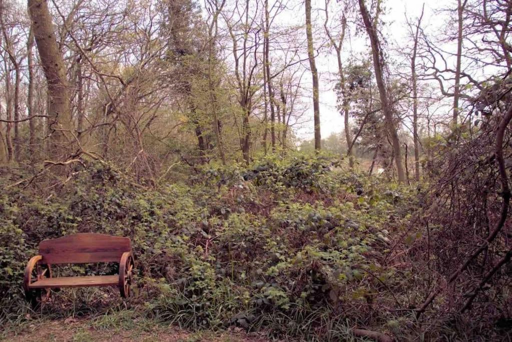 Magical Forest Yurt Sturry ภายนอก รูปภาพ