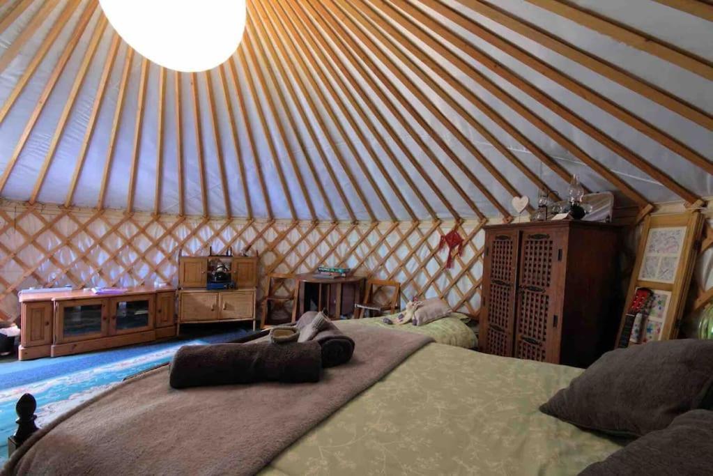 Magical Forest Yurt Sturry ภายนอก รูปภาพ