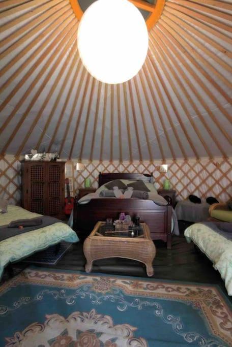 Magical Forest Yurt Sturry ภายนอก รูปภาพ