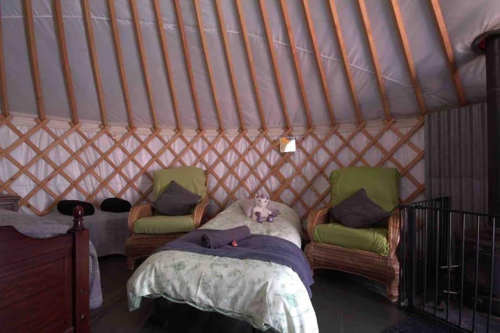 Magical Forest Yurt Sturry ภายนอก รูปภาพ