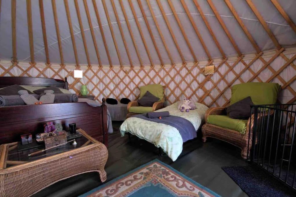 Magical Forest Yurt Sturry ภายนอก รูปภาพ