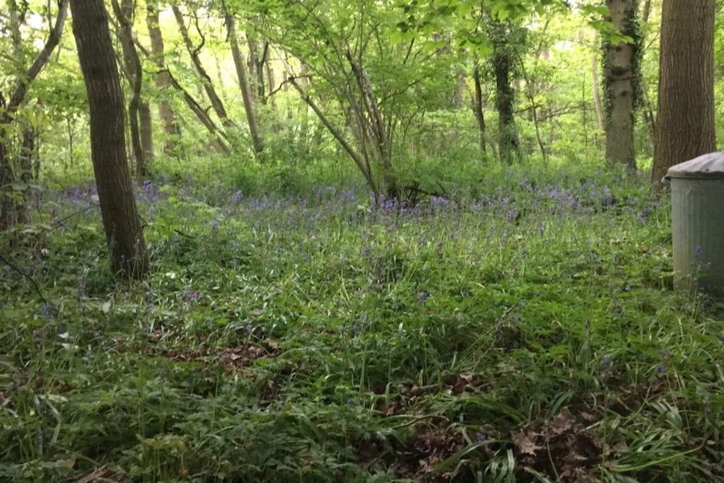 Magical Forest Yurt Sturry ภายนอก รูปภาพ