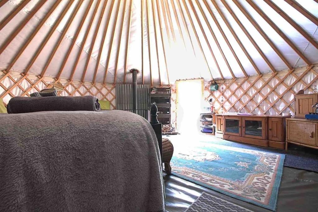 Magical Forest Yurt Sturry ภายนอก รูปภาพ