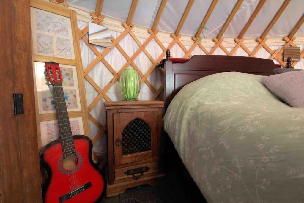 Magical Forest Yurt Sturry ภายนอก รูปภาพ
